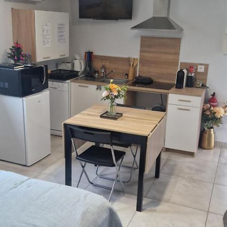 Studio Plein Sud Au Calme Montauban Eksteriør billede